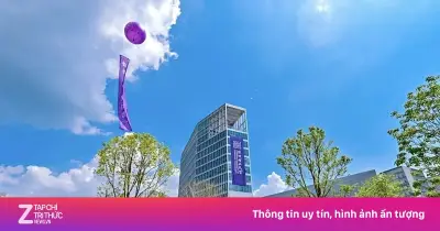 Đại học Trung Quốc dự kiến bỏ môn Tiếng Anh từ năm 2026, thay bằng khóa giao tiếp liên văn hóa
