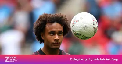 Juventus vượt lên dẫn đầu cuộc đua giành Zirkzee từ MU