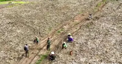 Ký ức người lính: Mong xe chở cá giữa núi rừng Tây Nguyên