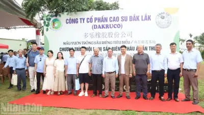 Đắk Lắk chuẩn bị Lễ hội Sầu riêng 2026, Dakruco đón đoàn doanh nghiệp quốc tế