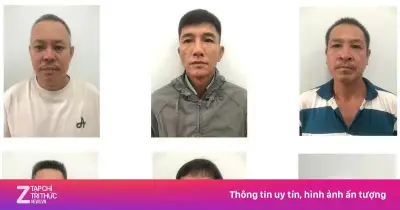 Khởi tố nhóm cá độ bóng đá hơn 3,2 tỷ đồng tại Lâm Đồng mùa World Cup 2026