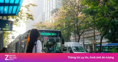 Khám phá TP.HCM với tuyến xe buýt 0 đồng: 5 hành trình hấp dẫn