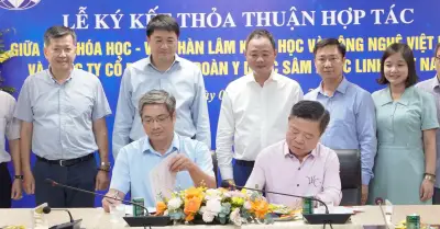 Khoa học và doanh nghiệp hợp tác đưa Sâm Ngọc Linh thành thương hiệu quốc tế