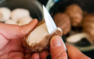 Khoai sọ: Lợi ích sức khỏe và những ai nên hạn chế ăn
