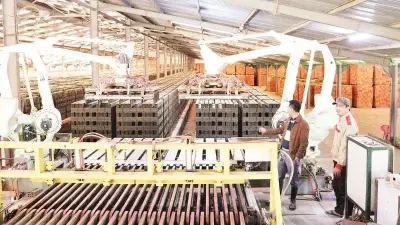 Kinh tế tư nhân Quảng Ngãi: 72,6% doanh nghiệp có lãi, mở rộng quy mô