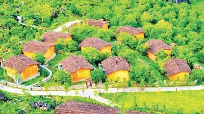 Kinh tế tư nhân Tuyên Quang: Động lực tăng trưởng và thách thức