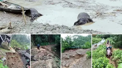 Lai Châu: Mưa lũ cuốn trôi 1 người, sạt lở gây thiệt hại nặng