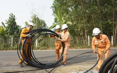 Lịch cúp điện Lâm Đồng từ 31/7 đến 2/8/2026: Nhiều khu vực mất điện liên tục