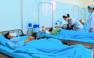 Lâm Đồng: 84 người nghi ngộ độc bánh mì thịt nướng pate Minh Trung