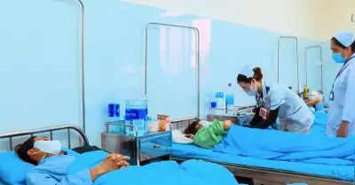 Lâm Đồng: 84 người nhập viện vì ngộ độc bánh mì, 37 người đang điều trị
