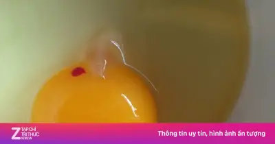 Lòng đỏ trứng có đốm máu: Có ăn được không? Sự thật bất ngờ