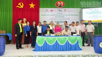Mô hình Cái Ngang Xanh: Bước đột phá nông nghiệp tuần hoàn tại Vĩnh Long
