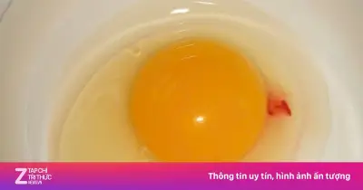 Đốm máu trên lòng đỏ trứng: Có nên bỏ ngay không?