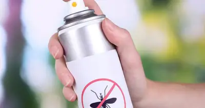 Mùa mưa đến, đừng quên sắm ngay những món đồ chống muỗi này để bảo vệ sức khỏe gia đình