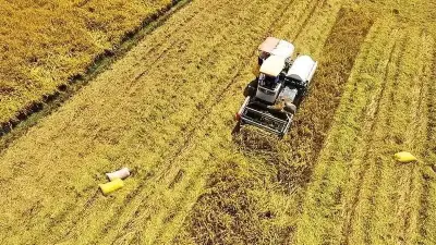 Mục tiêu 100% vùng nông sản có dịch vụ truy xuất nguồn gốc vào năm 2030