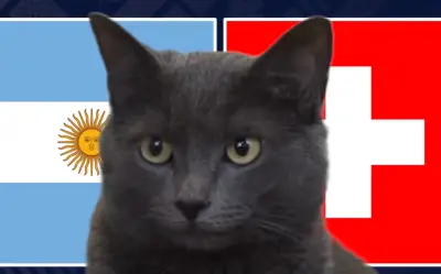 Mèo tiên tri dự đoán Thụy Sĩ thắng Argentina, chuyên gia tin Messi