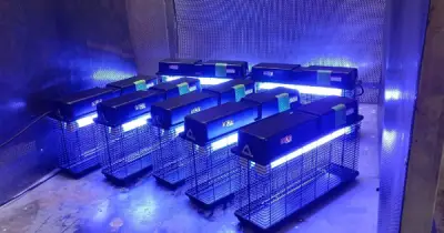 Đèn bắt côn trùng Nion công suất lớn giúp doanh nghiệp FDI kiểm soát rủi ro hiệu quả