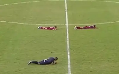 Đàn ong xâm chiếm sân, trận chung kết U20 Brazil phải tạm dừng