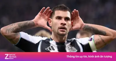 Newcastle tan đàn xẻ nghé sau khi HLV Eddie Howe ra đi
