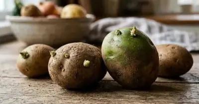 Ngộ độc khoai tây mọc mầm: 4 người nhập viện, 1 phụ nữ 69 tuổi tử vong