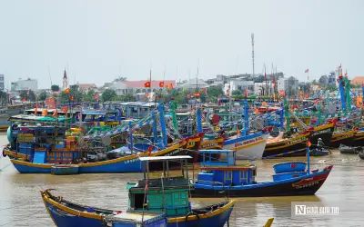Ngư dân Lâm Đồng vươn khơi an toàn, khai thác bền vững