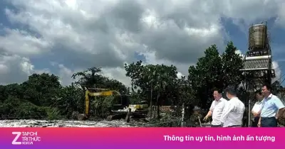 Đồng Nai tiêu hủy hơn 13.500 con heo do dịch tả châu Phi, tăng 412%