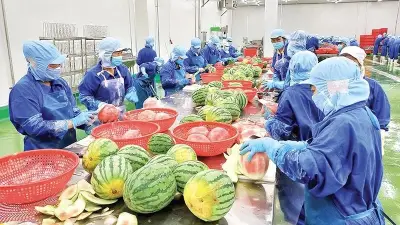 Đồng Tháp tái cấu trúc ngành hàng trái cây, khắc phục 'được mùa mất giá'