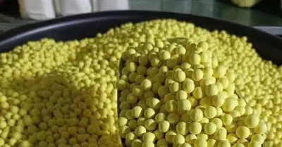 Nghe rất tốt nhưng đừng quá con số này coi chừng tác dụng ngược