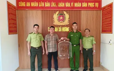 Người dân giao nộp cá thể cu li quý hiếm cho cơ quan chức năng