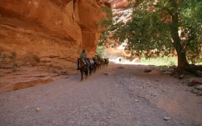 Ngôi làng Supai hẻo lánh: Nơi duy nhất ở Mỹ dùng la chở thư