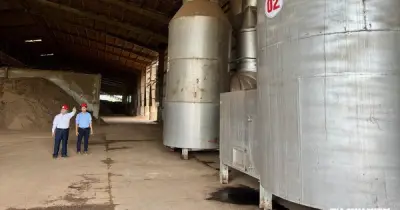 Nhà máy Wood Pellets ở Quảng Ngãi vận hành trở lại sau khắc phục ô nhiễm
