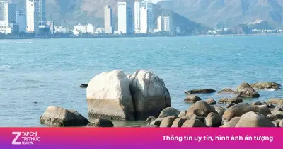 Nhóm du khách bẻ san hô ở Hòn Chồng bị xử phạt