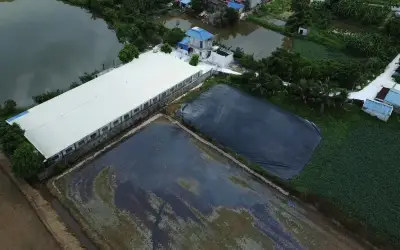 Ninh Bình chỉ đạo kiểm tra trang trại chăn nuôi rò rỉ nước thải