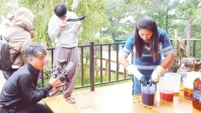 Đà Nẵng, Gia Lai, Đắk Lắk, Quảng Ngãi đồng loạt triển khai các dự án phát triển