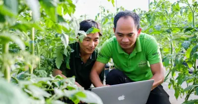 Nông nghiệp thông minh IoT tại Lâm Đồng tăng lợi nhuận 15-20%