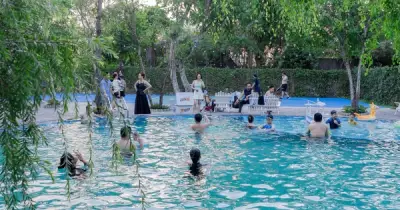 Old Tree Garden: Mô hình nghỉ dưỡng sinh thái mới tại Đà Nẵng