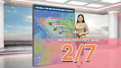 Áp thấp nhiệt đới mạnh lên thành bão trên Biển Đông, cấp 8 giật cấp 10