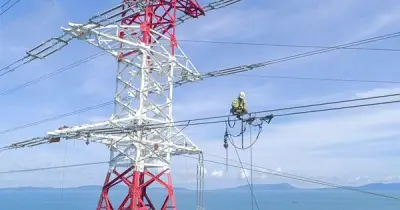 PECC1 bị 4 Big4 từ chối kiểm toán, phải xin ý kiến cổ đông chọn đơn vị mới