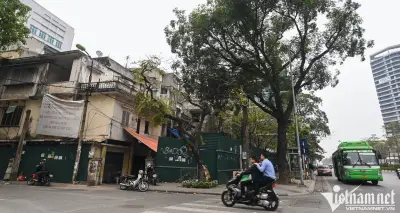 Phương Ngọc Hà sắp thu hồi 5ha đất, quy định mới về hợp thửa đất ở, đất vườn ao
