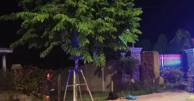 Phát hiện thi thể bé gái trong giỏ xách bỏ lại bên đường