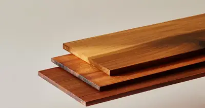 Phát minh Superwood: Gỗ siêu bền gấp 10 lần thép, nhẹ hơn 6 lần