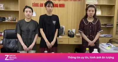 Quảng Ninh triệt phá đường dây ma túy Etomidate dưới vỏ bọc thuốc lá điện tử