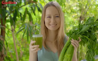 Rau cần tây giá rẻ bán đầy chợ Việt: hỗ trợ giảm cân, tốt cho người cao tuổi