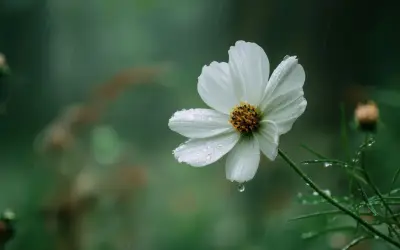 Số cuối ngày sinh âm lịch hé lộ người có đường công danh sáng lạn