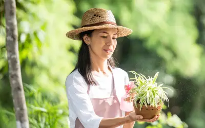 Sau tuổi 50 có tiền cũng vô nghĩa nếu thiếu 3 thứ này