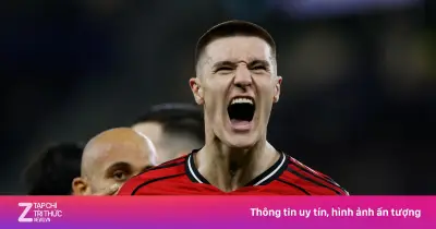 Sesko vắng mặt trận giao hữu đầu tiên của MU hè 2026 vì chấn thương