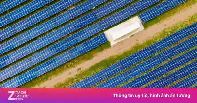 Sharp chính thức sở hữu 100% doanh nghiệp điện mặt trời tại Việt Nam