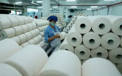 Sợi Thế Kỷ (STK) lỗ 38,5 tỷ đồng quý II/2026, chi phí lãi vay tăng gấp 6 lần