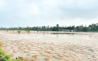 Siết chặt quản lý nuôi trồng thủy sản trái phép vùng ven biển Đồng bằng sông Hồng