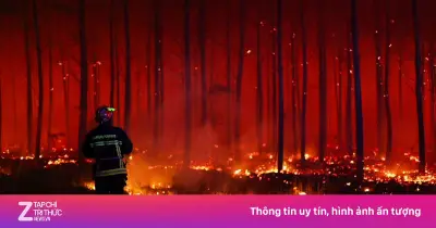 Siêu cháy rừng càn quét châu Âu, chuyên gia ví như bom nguyên tử